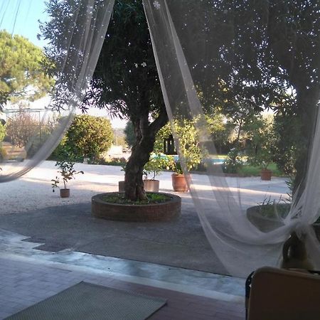 Bed and Breakfast Il Gelso Di Barcuzzi Лонато Екстер'єр фото