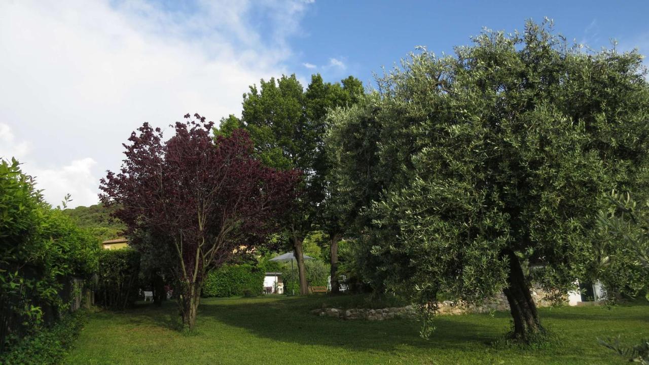 Bed and Breakfast Il Gelso Di Barcuzzi Лонато Екстер'єр фото