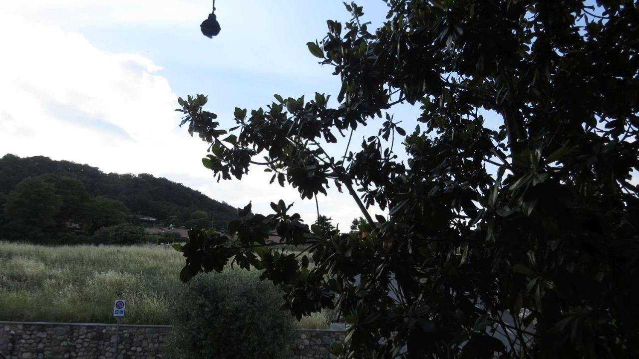 Bed and Breakfast Il Gelso Di Barcuzzi Лонато Екстер'єр фото