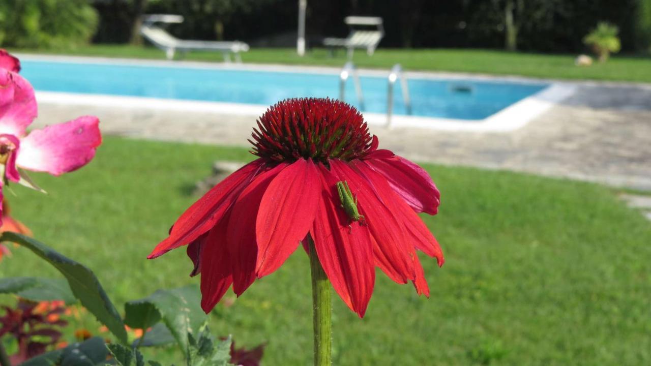 Bed and Breakfast Il Gelso Di Barcuzzi Лонато Екстер'єр фото